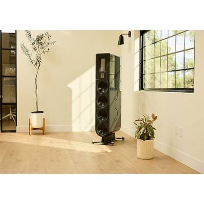 картинка Акустическая система PS Audio ASPEN FR30 sable black от магазина Одежда+