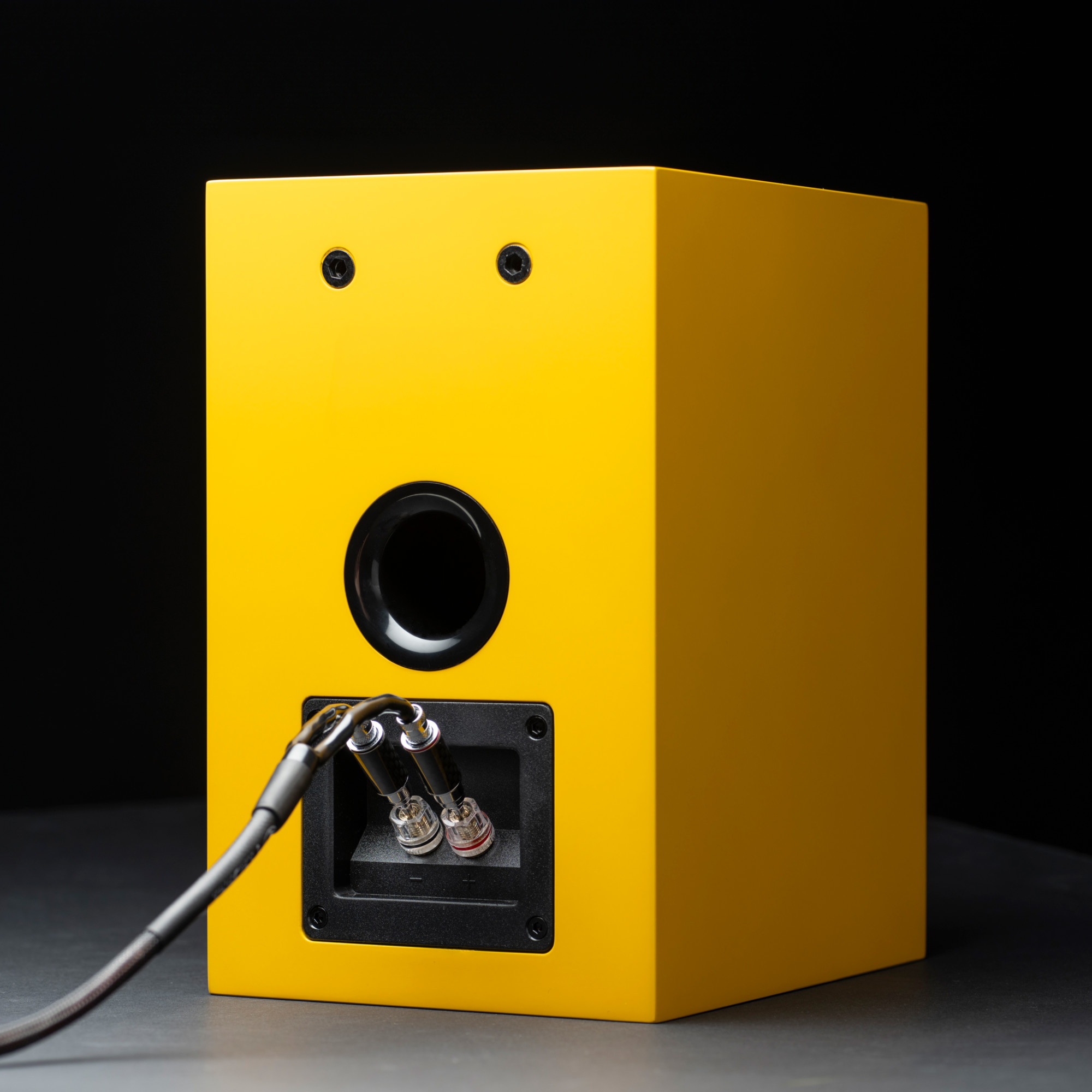 картинка Акустическая система Pro-Ject Speaker Box 5 E Carbon от магазина Одежда+