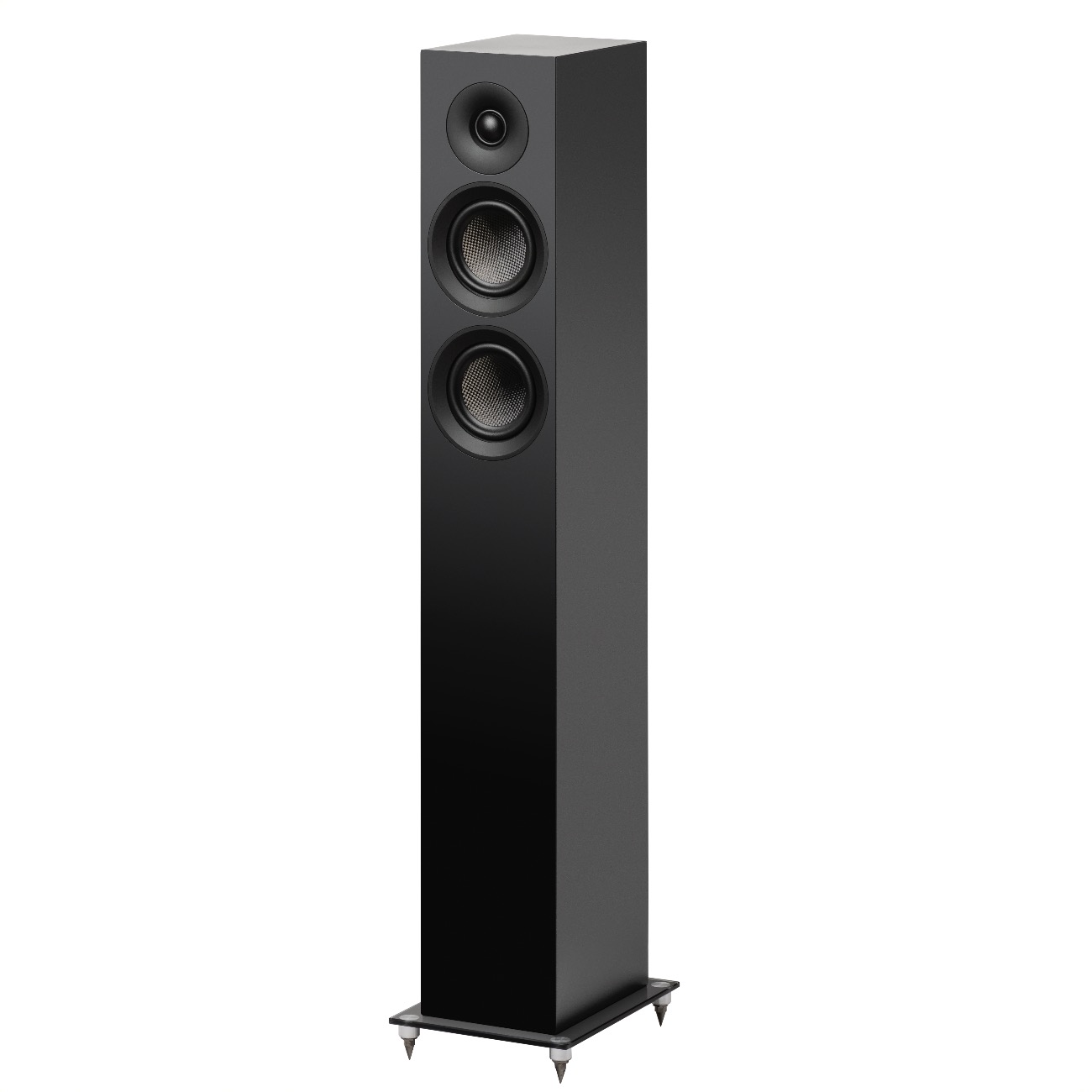картинка Акустическая система Pro-Ject Speaker Box 10 E Carbon от магазина Одежда+