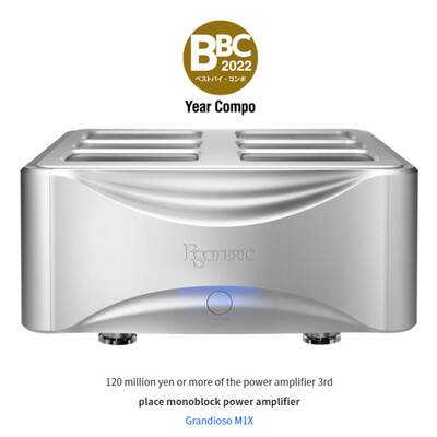 картинка Усилитель мощности моноблок Esoteric GRANDIOSO M1X silver от магазина Одежда+