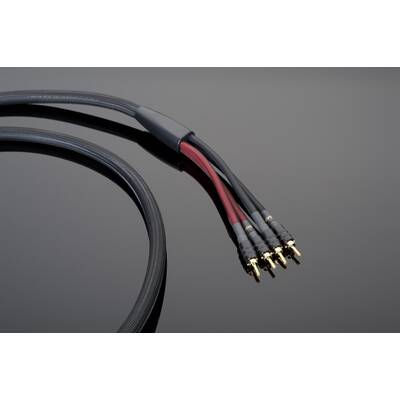 картинка Кабель Акустический, Готовый Transparent Audio PLUS G6 BIWIRE SC LB > BWLB 3.6 m от магазина Одежда+