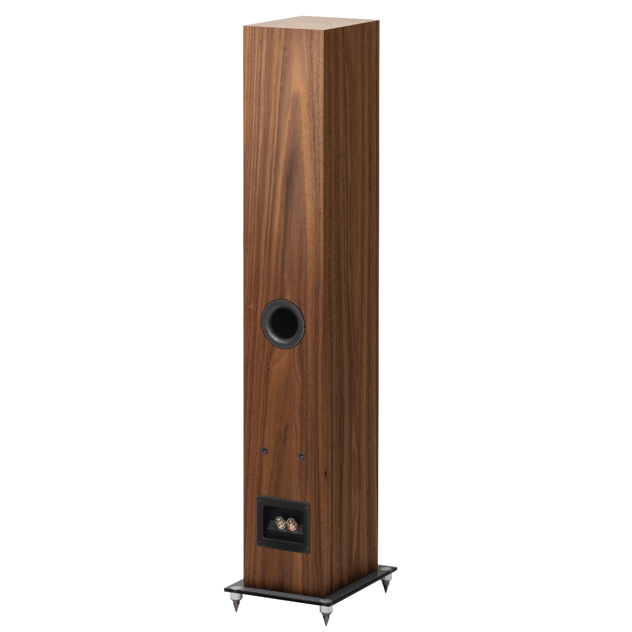 картинка Акустическая система Pro-Ject Speaker Box 10 E Carbon от магазина Одежда+