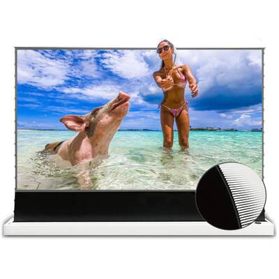 картинка Напольный моторизованный экран VividStorm S-Pro-P-White-100 от магазина Одежда+