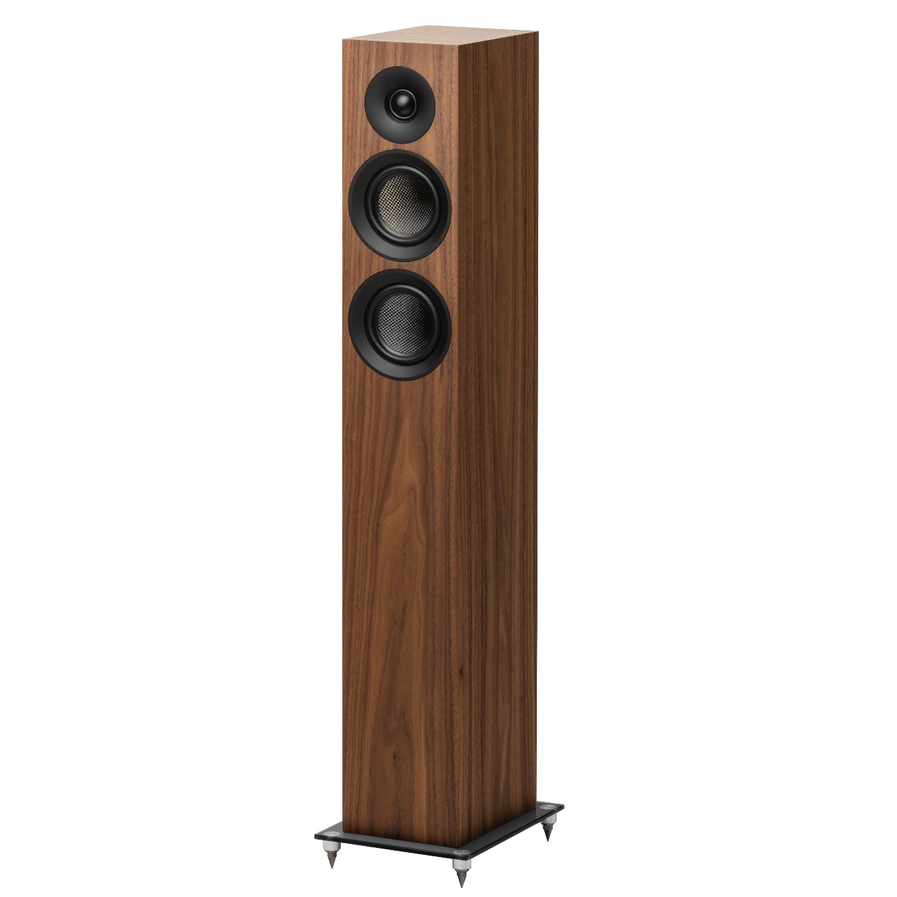 картинка Акустическая система Pro-Ject Speaker Box 10 E Carbon от магазина Одежда+