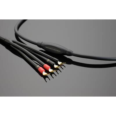 картинка Кабель Акустический, Готовый Transparent Audio MUSICWAVE G6 BIWIRE SC SP > BWSP 3.0 m от магазина Одежда+