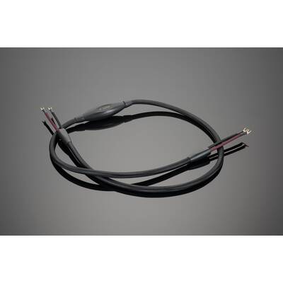 картинка Кабель Акустический, Готовый Transparent Audio SUPER G6 SC LB > LB 2.4 m от магазина Одежда+
