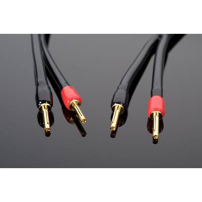 картинка Кабель Акустический, Готовый Transparent Audio WAVE G6 SC SB > SB 3.0 m от магазина Одежда+